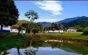 Fazenda, 133 hectares - Foto 5