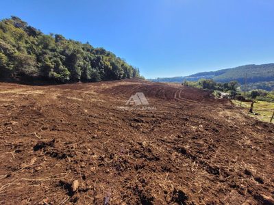 Terreno, 5 hectares - Foto 1