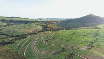 Fazenda, 11963 hectares - Foto 4
