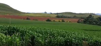 Fazenda, 68 hectares - Foto 1