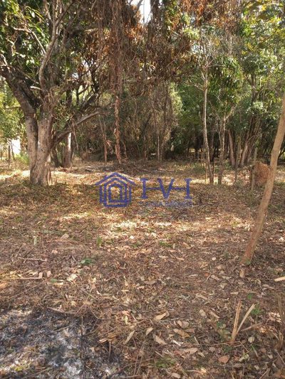Terreno, 1000 m² - Foto 5
