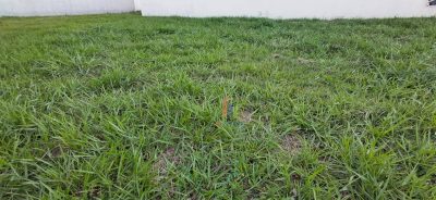 Terreno, 332 m² - Foto 4