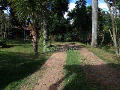 Chácara, 5 quartos, 10000 m² - Foto 4