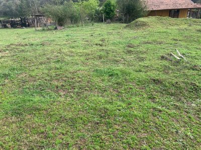 Terreno, 2000 m² - Foto 2