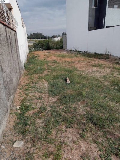 Terreno, 217 m² - Foto 3