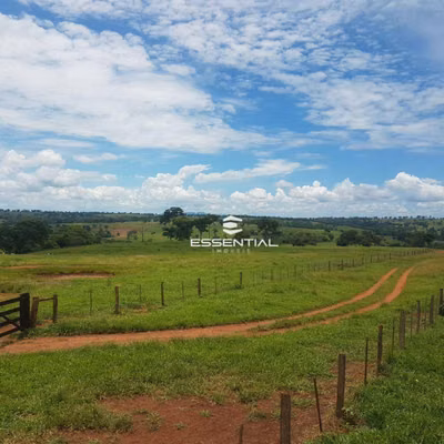 Fazenda, 4250 hectares - Foto 4