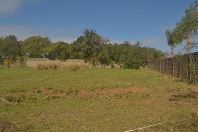 Terreno, 1607 m² - Foto 4