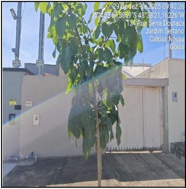 Casa, 2 quartos, 180 m² - Foto 1