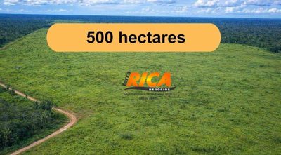 Fazenda, 500 hectares - Foto 1