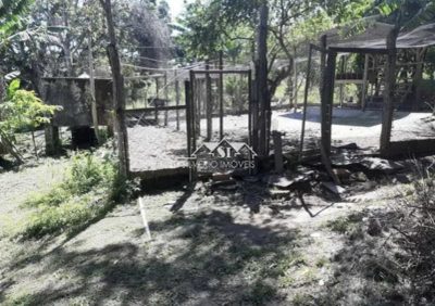 Fazenda, 2 hectares - Foto 3