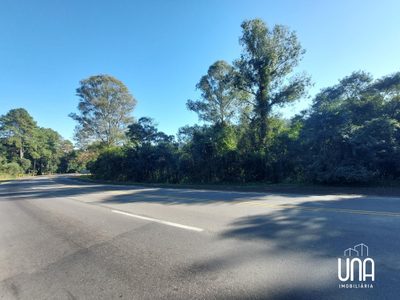 Terreno, 3 hectares - Foto 1