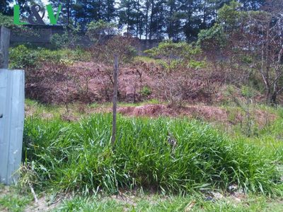 Terreno, 298 m² - Foto 2