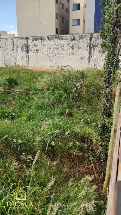 Terreno, 1000 m² - Foto 2