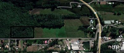 Terreno, 2 hectares - Foto 4