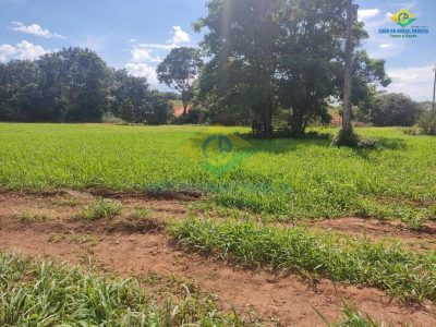 Fazenda, 3 quartos - Foto 4