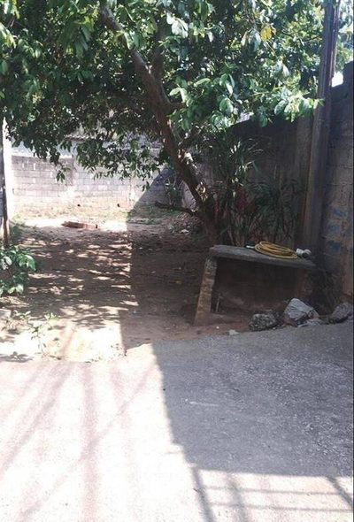 Terreno, 300 m² - Foto 5