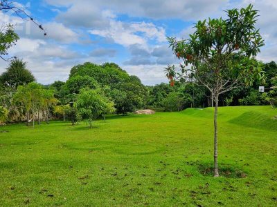 Terreno, 1000 m² - Foto 5
