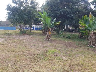 Terreno, 8000 m² - Foto 4