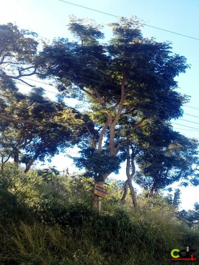 Terreno, 700 m² - Foto 5