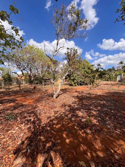 Terreno, 443 m² - Foto 4