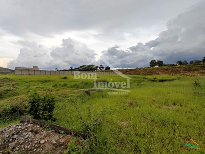 Depósito-Galpão - Foto 1