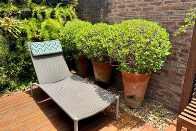 Cobertura, 3 quartos, 236 m² - Foto 3