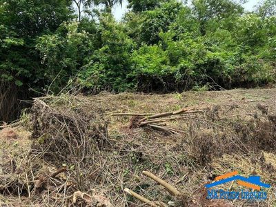 Terreno, 1000 m² - Foto 5