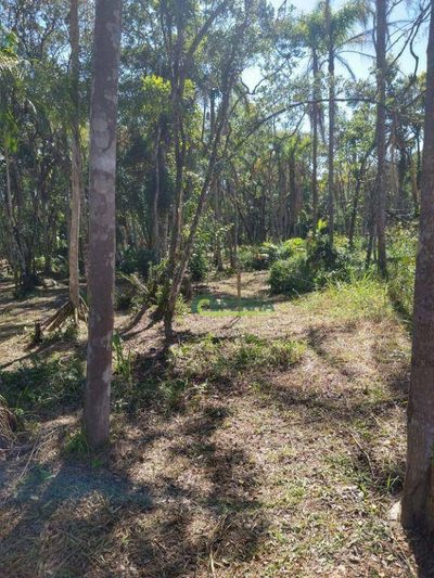 Terreno, 2550 m² - Foto 4