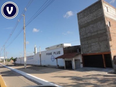 Loja-Salão, 589 m² - Foto 3