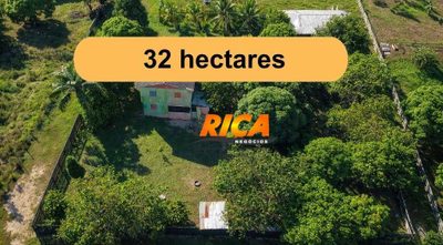 Sítio, 32 hectares - Foto 1