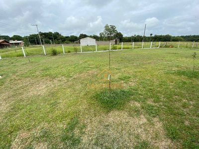 Sítio, 2 quartos, 500 m² - Foto 4
