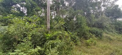 Terreno, 280 m² - Foto 3