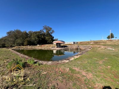 Sítio, 21000 m² - Foto 4
