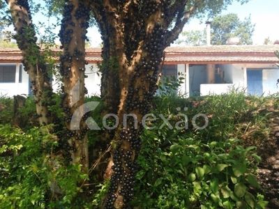 Fazenda, 100 m² - Foto 2