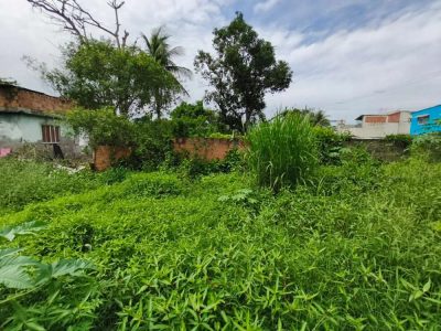 Terreno, 525 m² - Foto 3