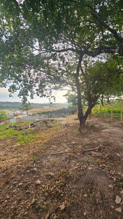 Terreno, 600 m² - Foto 2