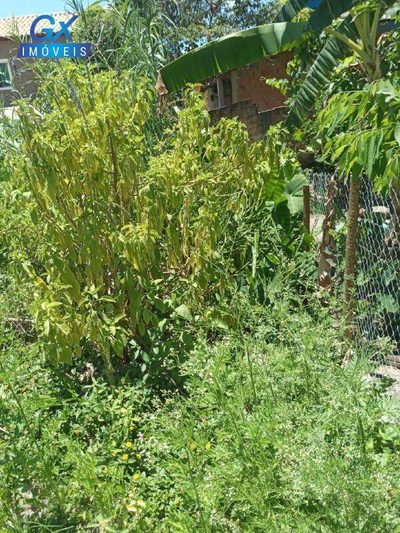 Terreno, 382 m² - Foto 3