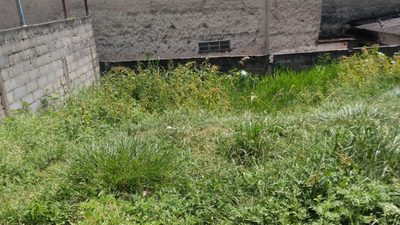 Terreno, 250 m² - Foto 1
