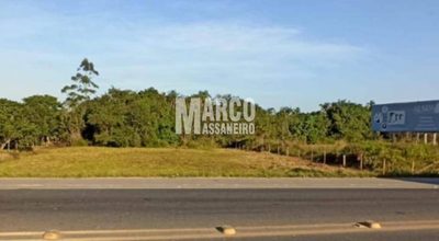 Terreno, 2310 m² - Foto 5