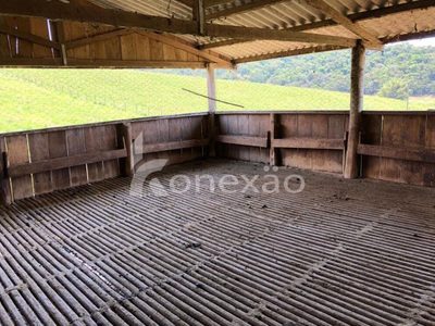 Fazenda, 400 m² - Foto 5