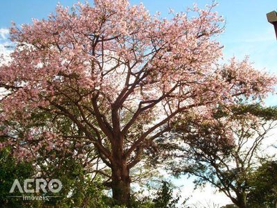 Loteamento e Condomínio, 450 m² - Foto 3