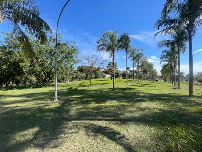 Terreno, 2 hectares - Foto 4