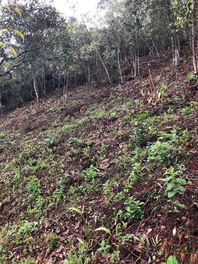 Terreno, 5775 m² - Foto 1