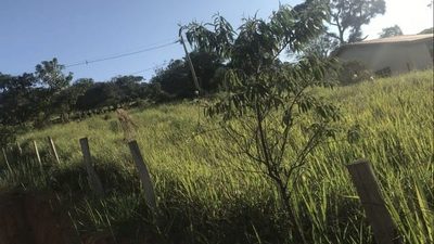 Terreno, 2300 m² - Foto 2