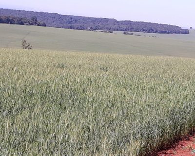 Fazenda, 340 m² - Foto 2