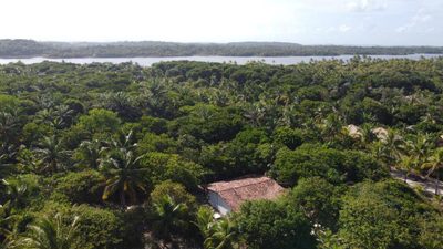 Terreno, 15 hectares - Foto 4