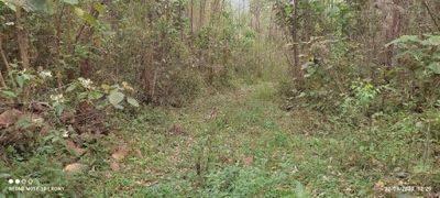 Sítio, 2 quartos, 150 m² - Foto 5