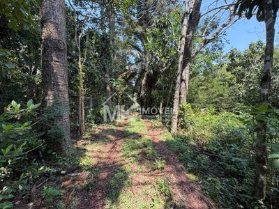 Terreno, 2 hectares - Foto 4