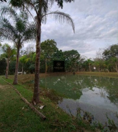 Terreno, 1000 m² - Foto 5