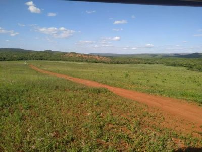 Fazenda - Foto 2